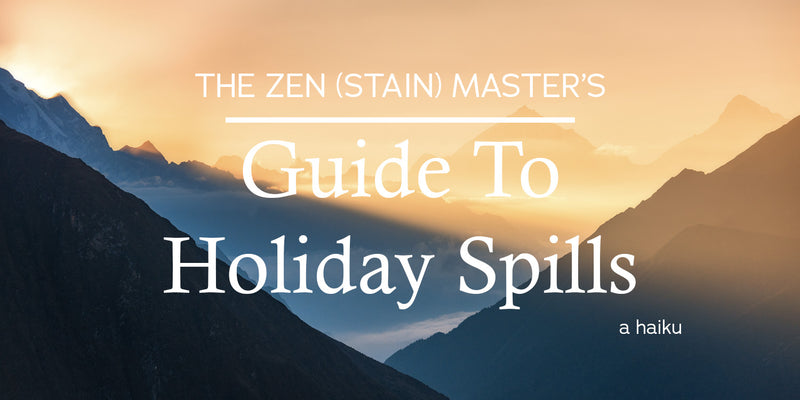 The ZEN (STAIN) MASTER'S Guide to Holiday Spills