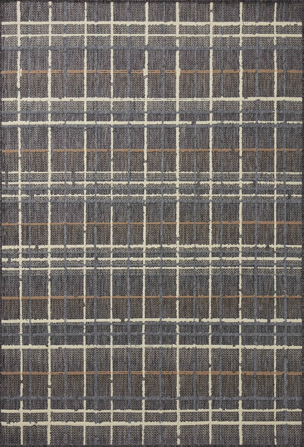 RAINIER Collection Rug  in  Charcoal / Multi Gray Accent Power-Loomed Polypropylene